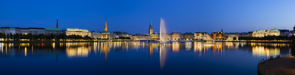 single hamburg